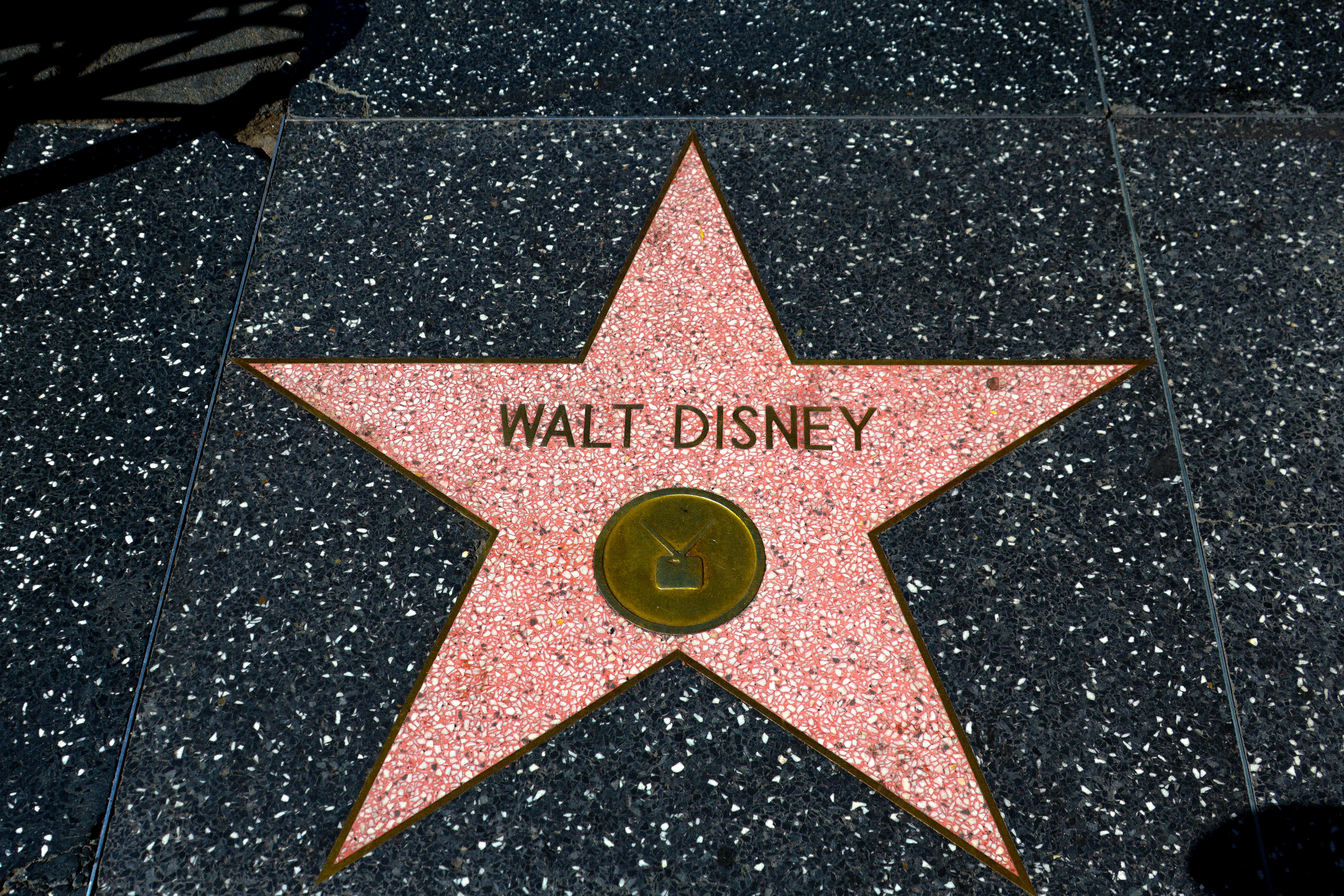 Walt